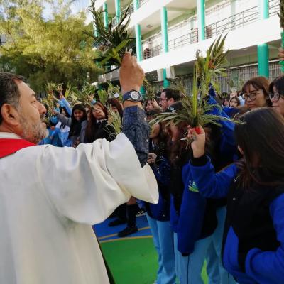 Domingo De Ramos 15